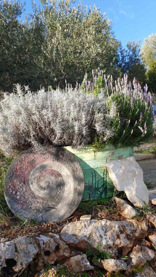 Villa Mary'S Garden Tulisevica Exterior foto