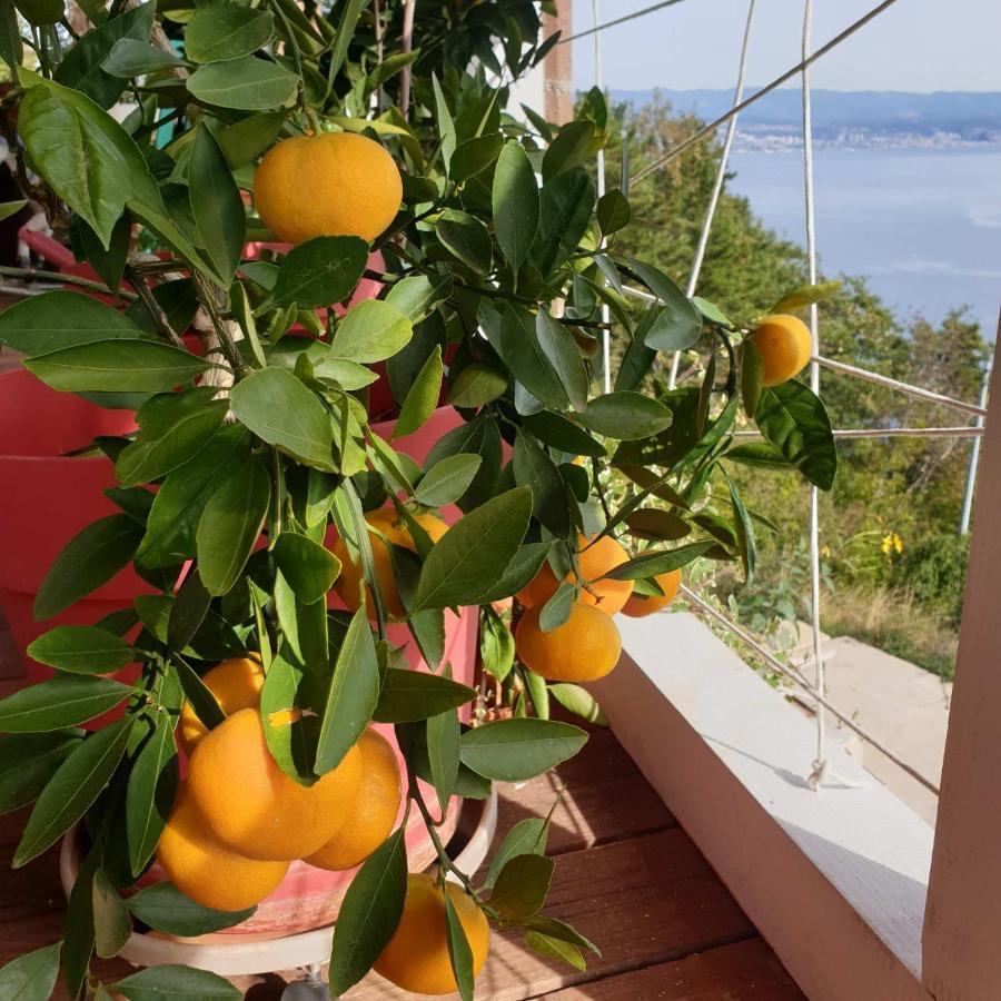 Villa Mary'S Garden Tulisevica Exterior foto
